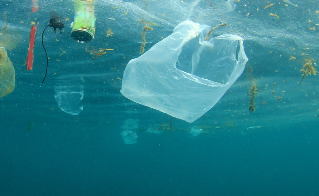 will-banning-plastic-bags-actually-save-the-planet-displayr