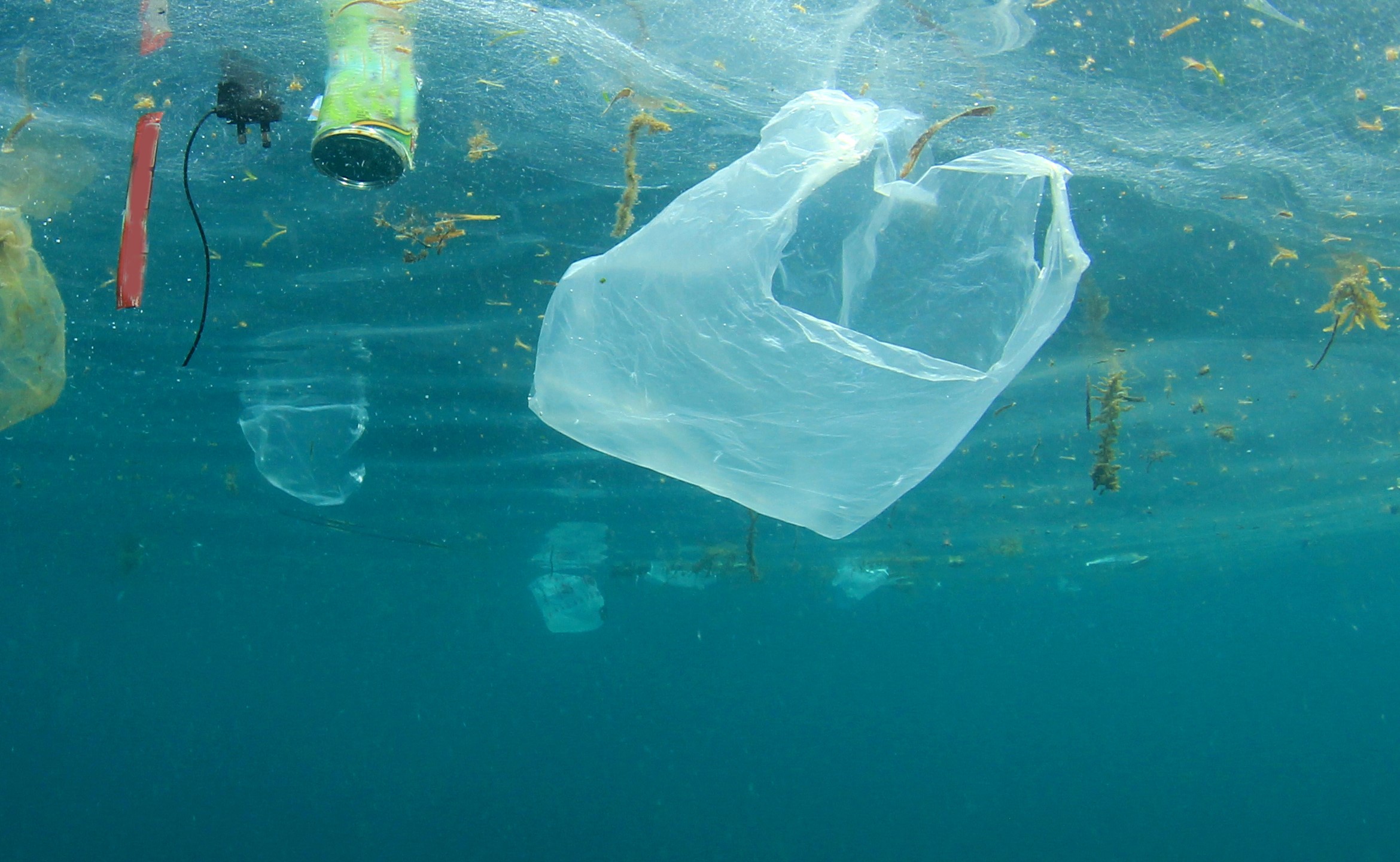 Will Banning Plastic Bags Actually Save the Planet? - Displayr